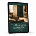 The Home-Alone Recovery Plan