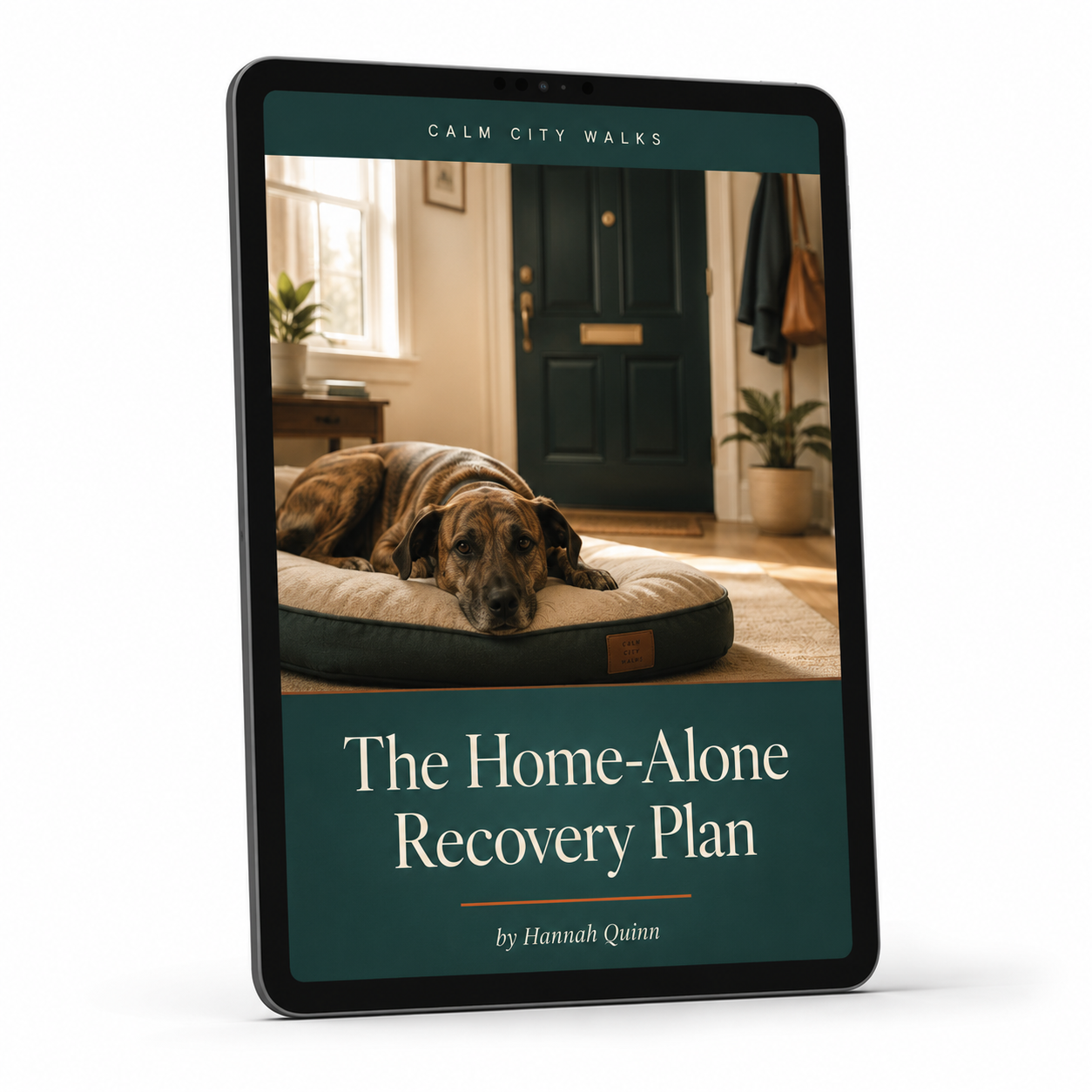 The Home-Alone Recovery Plan